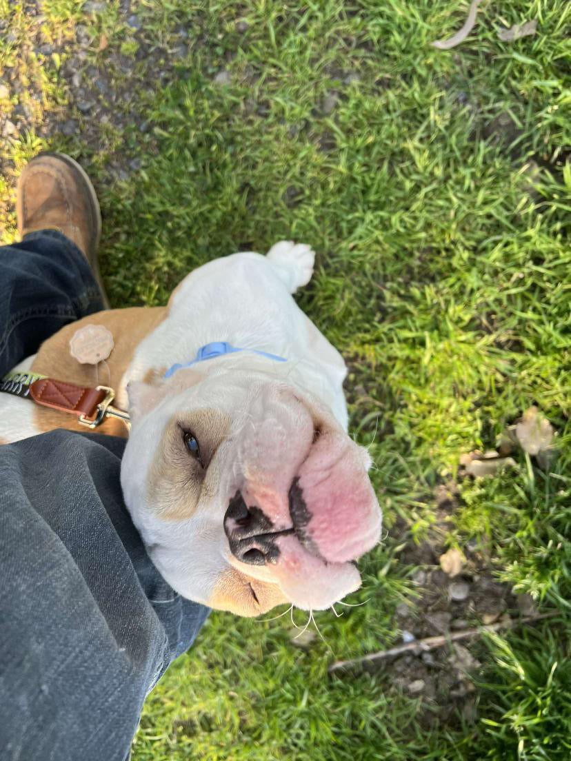 Gretta