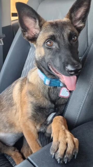 Shiloh