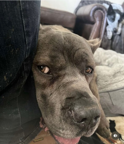 Roscoe