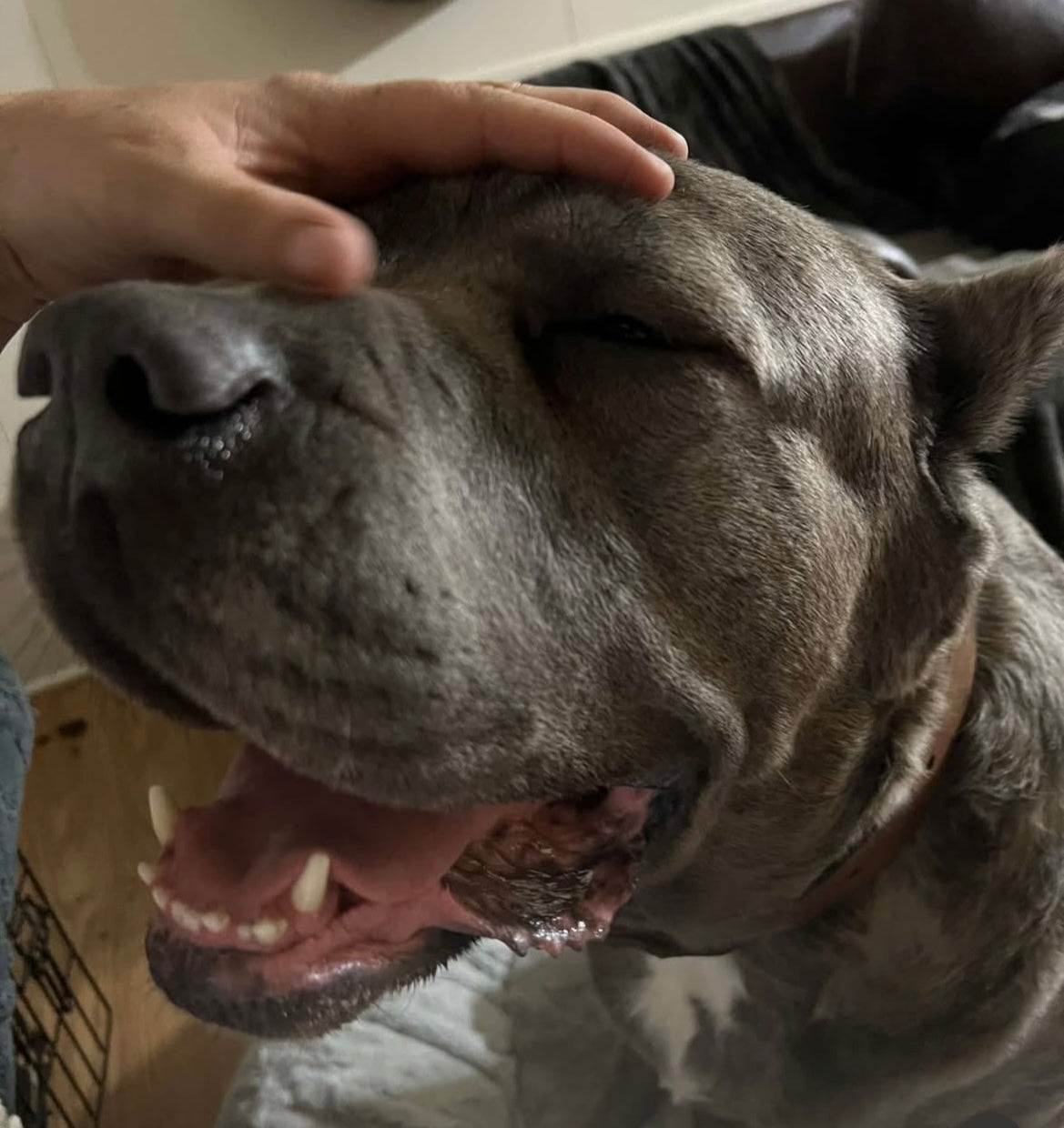 Roscoe