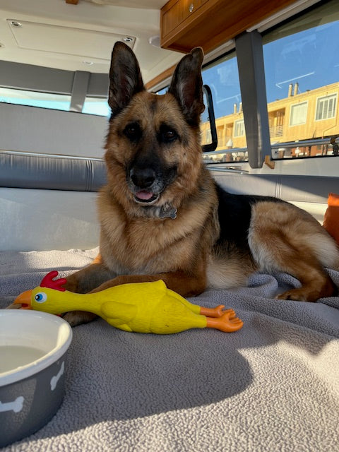 Penelope