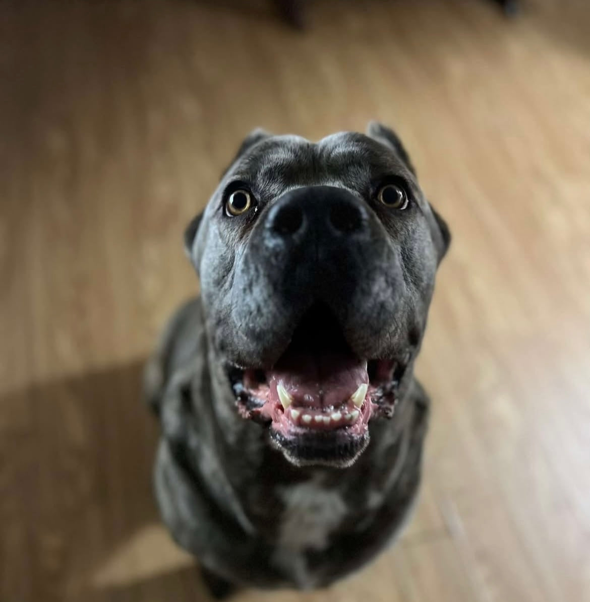 Roscoe