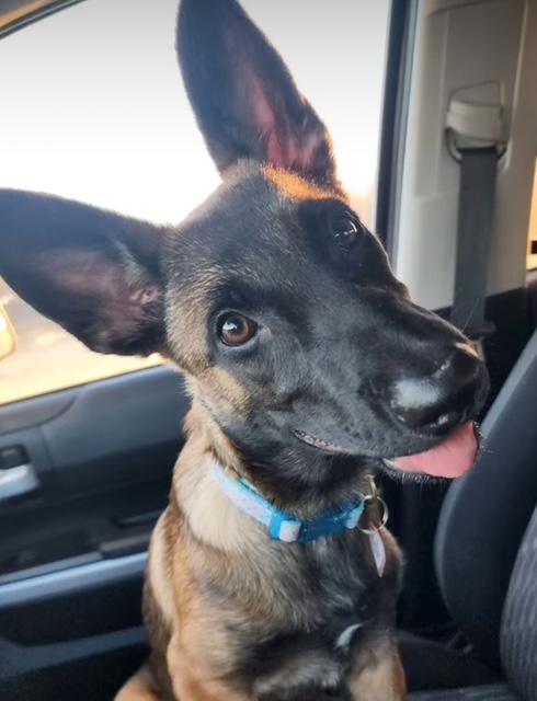 Shiloh
