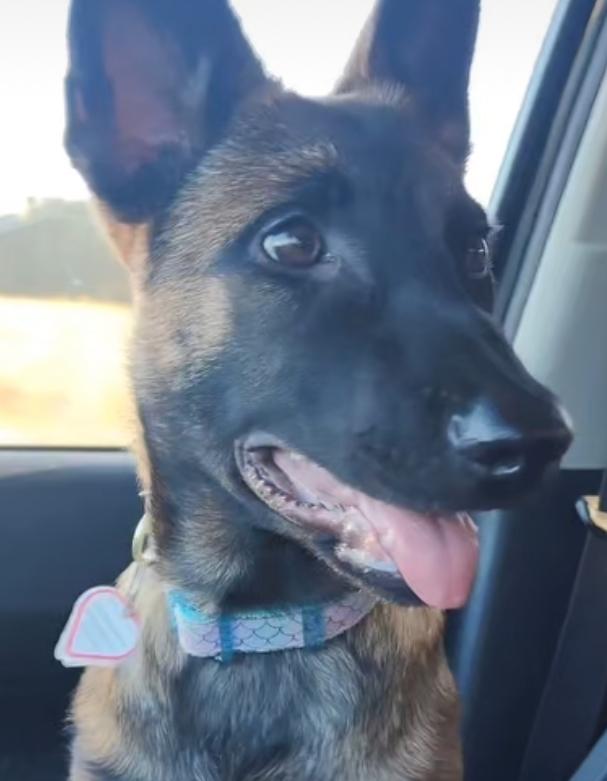Shiloh