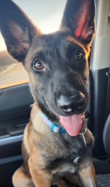 Shiloh