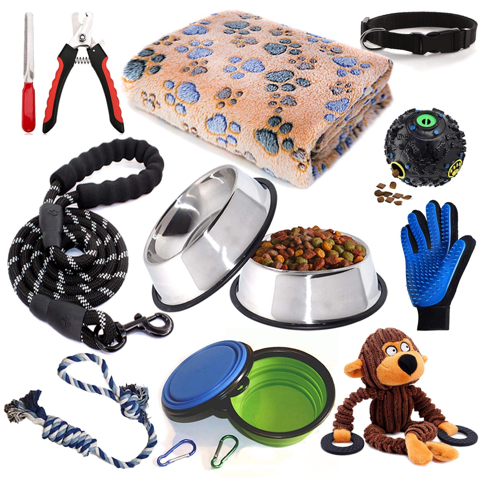 Become a Lifeline for a Rescue Dog
